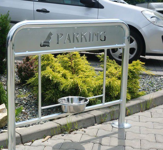 Za pse